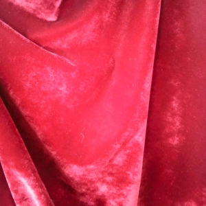 Catifea elastica corai