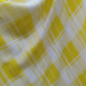 Vascoza pentru vara 1