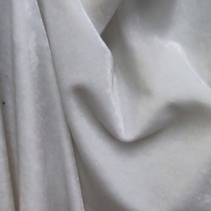 Catifea elastica alba