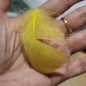 LOT FULGI PENE NATURALE VOPSITE